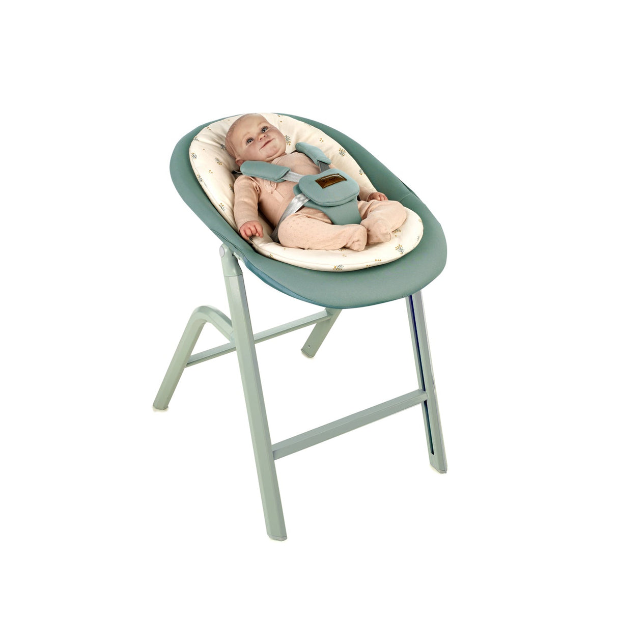 Jane Noah Highchair + Rocker Kit for Newborns – Convertible Beechwood Chair from birth to Adulthood, Pale