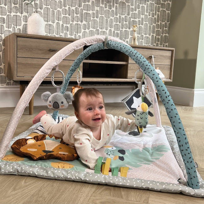 Nuby Animal Adventures Play Gym