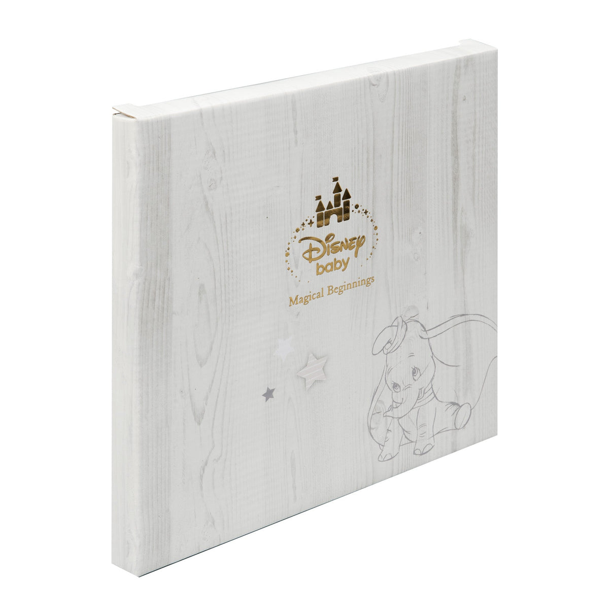 Disney Magical Beginnings My First Year Photo Record Book