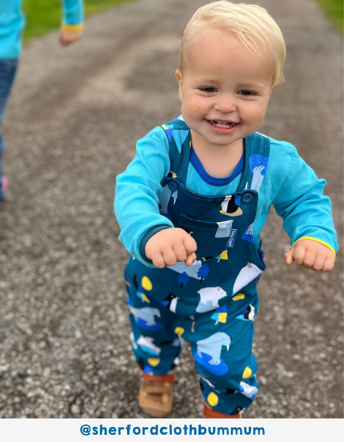 Toby Tiger Organic Arctic Print Dungarees