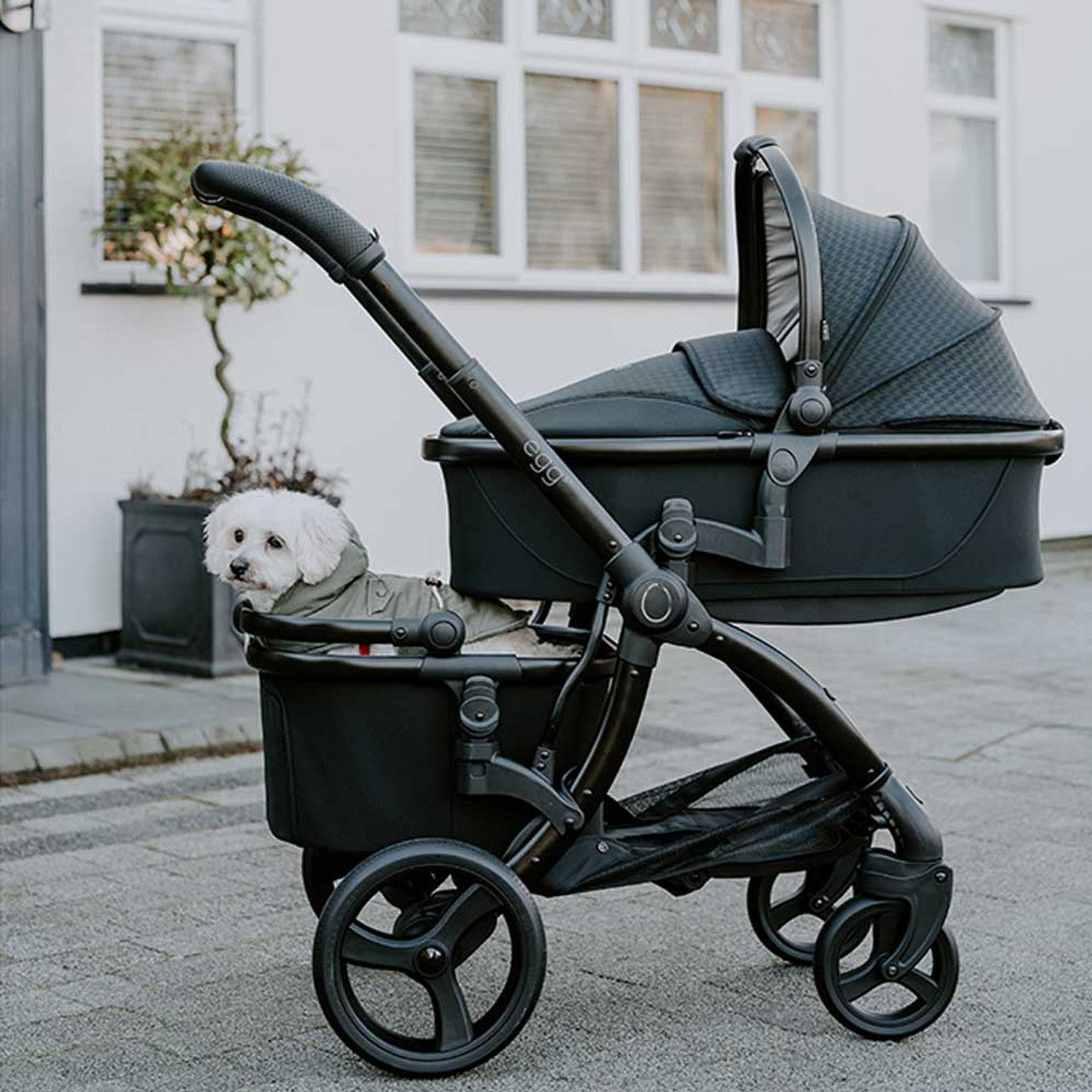 Egg Stroller/Pet Basket