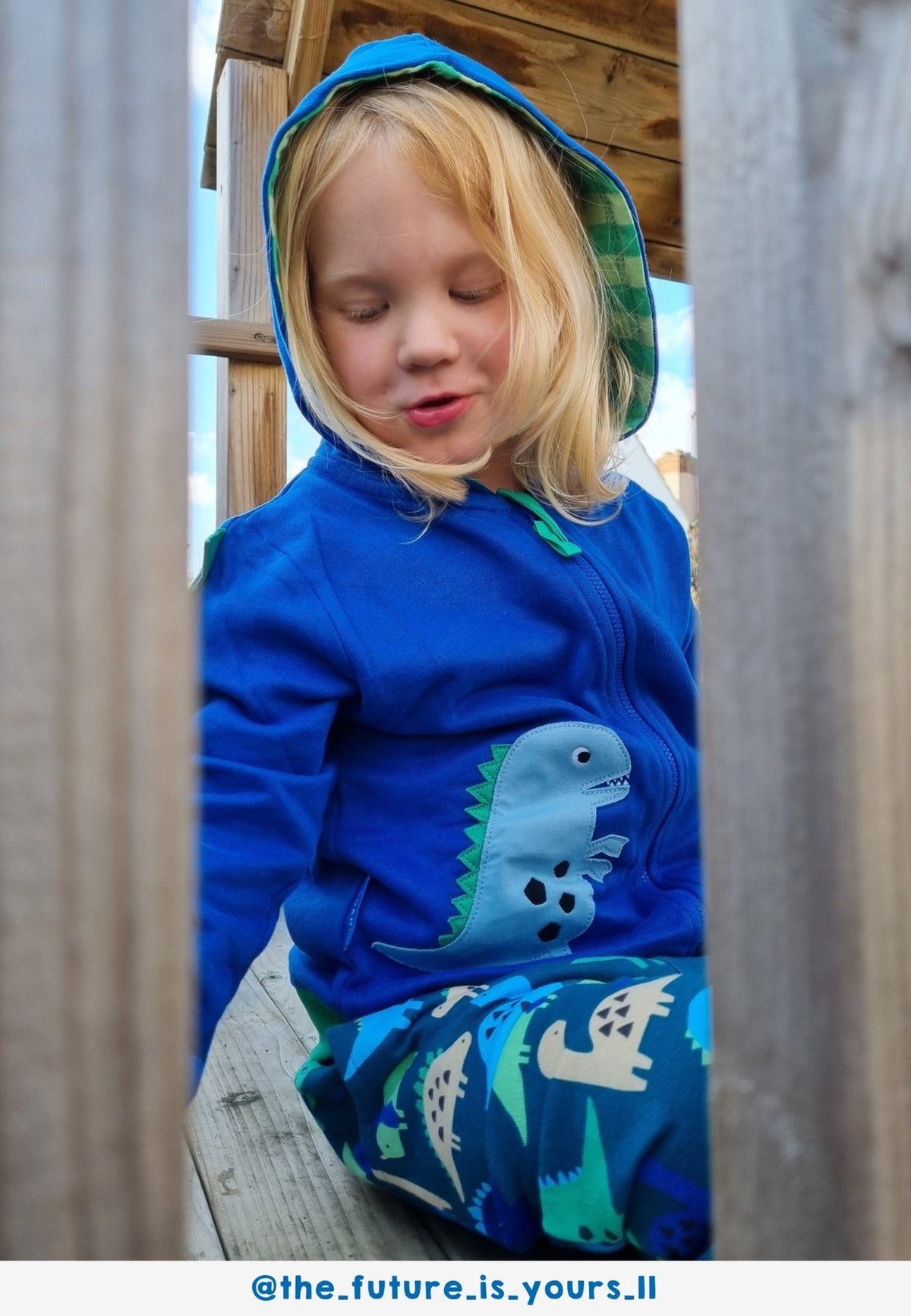 Toby Tiger Organic Tonal Dinosaur Applique Hoodie
