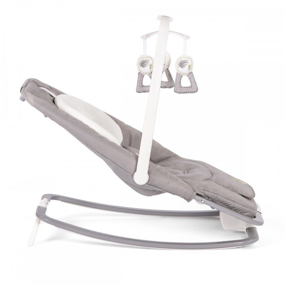 Joie Dreamer Rocker/Bouncer - Fern