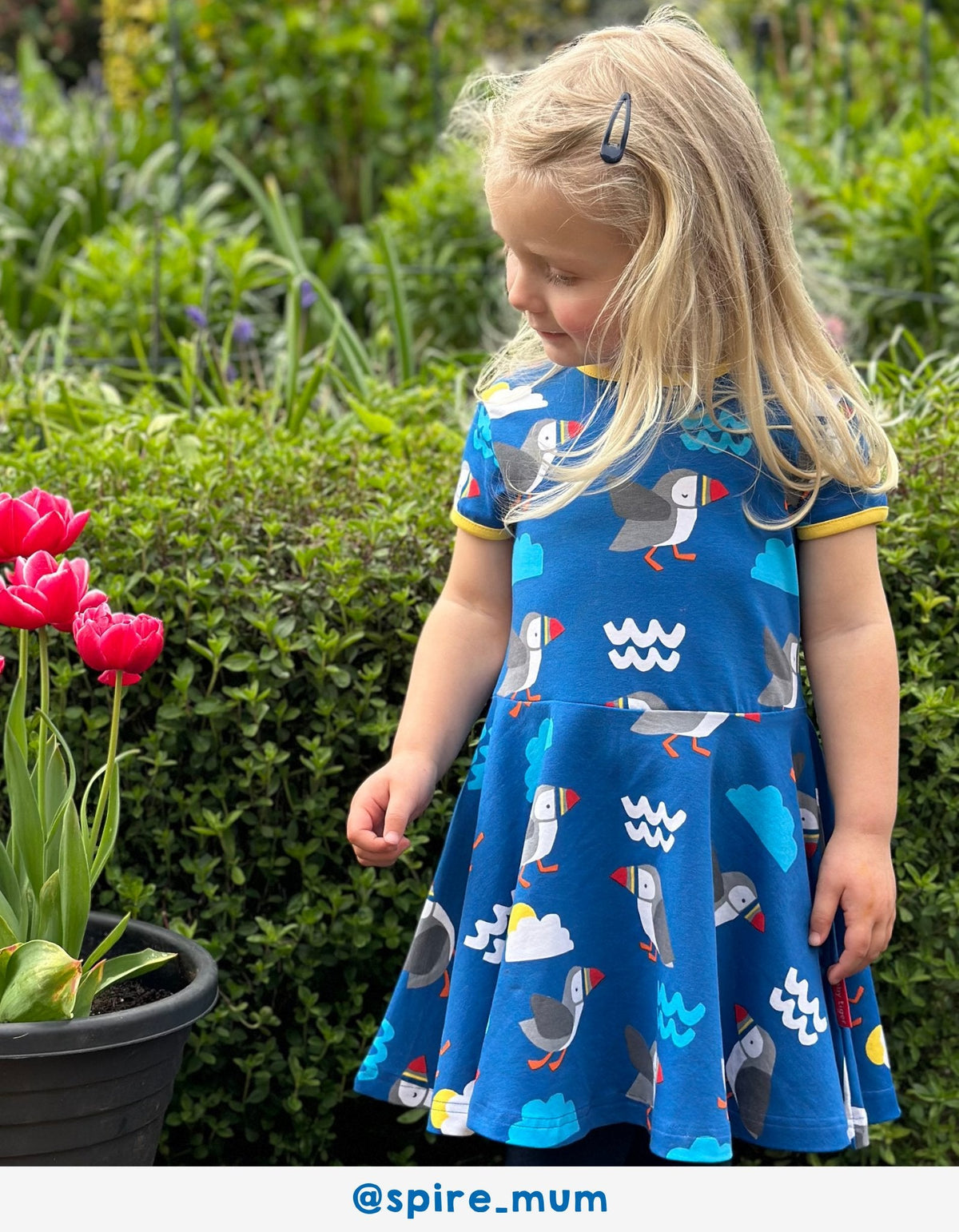 Toby Tiger Organic Puffin Print Skater Dress