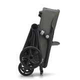 Bugaboo Fox Cub All Terrain Stroller + FREE Turtle Air - Forest Green