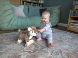 Little Bird Told Me Willow Deer Pull Along