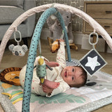 Nuby Animal Adventures Play Gym