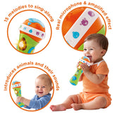 VTech Sing Along Microphone