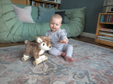 Little Bird Told Me Willow Deer Pull Along
