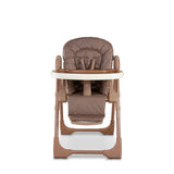 Cosatto Noodle 0+ Highchair - Tiger Tale