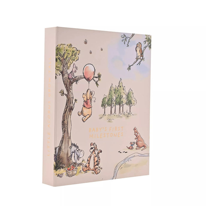Disney Winnie The Pooh Milestone Keepsake Set