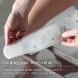 Lansinoh Postpartum Padsicles 8Pk
