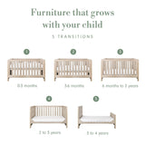 Tutti Bambini Modena 3 in 1 Cot Bed - Oak