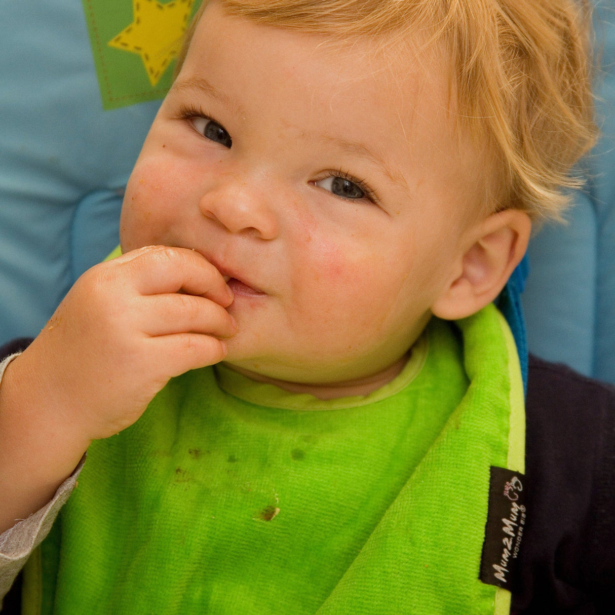Mum 2 Mum Standard Wonder Bib - Lime Green
