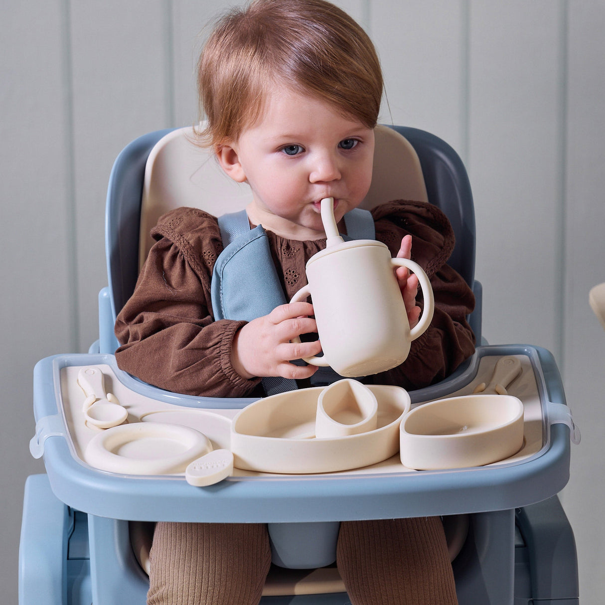 Tutti Bambini Nova Highchair Accessory Pack - Rusk