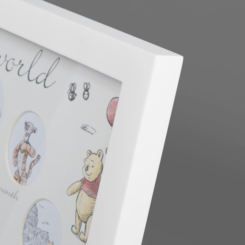 Disney Christopher Robin First Year Multi Aperture Frame