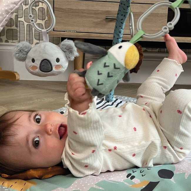 Nuby Animal Adventures Play Gym