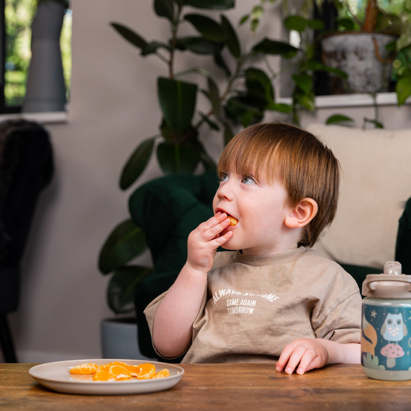 Vital Baby Nourish Perfectly Simple Plates 5Pk