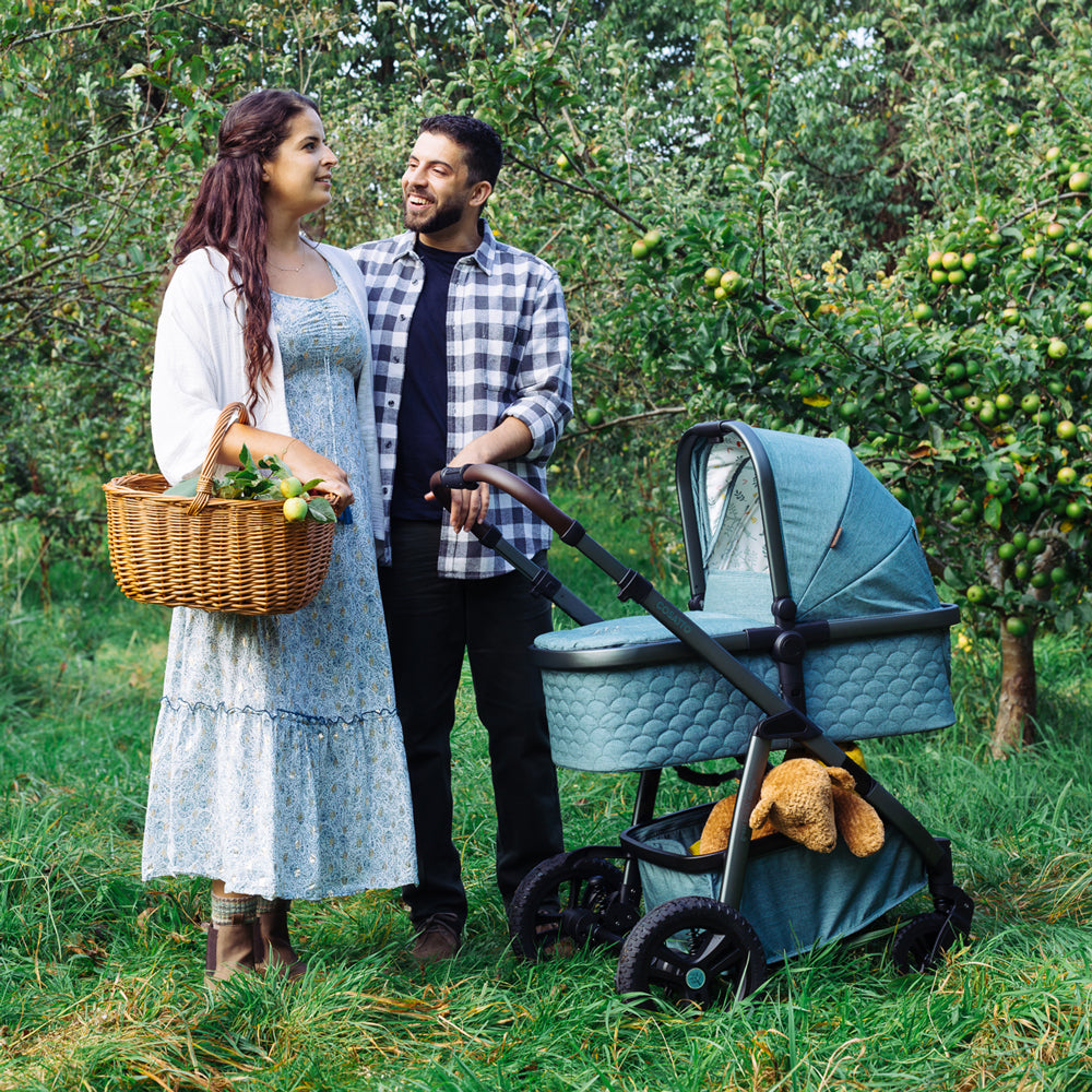 Cosatto Wow 3 Pram and Pushchair - Meadow