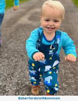 Toby Tiger Organic Arctic Print Dungarees