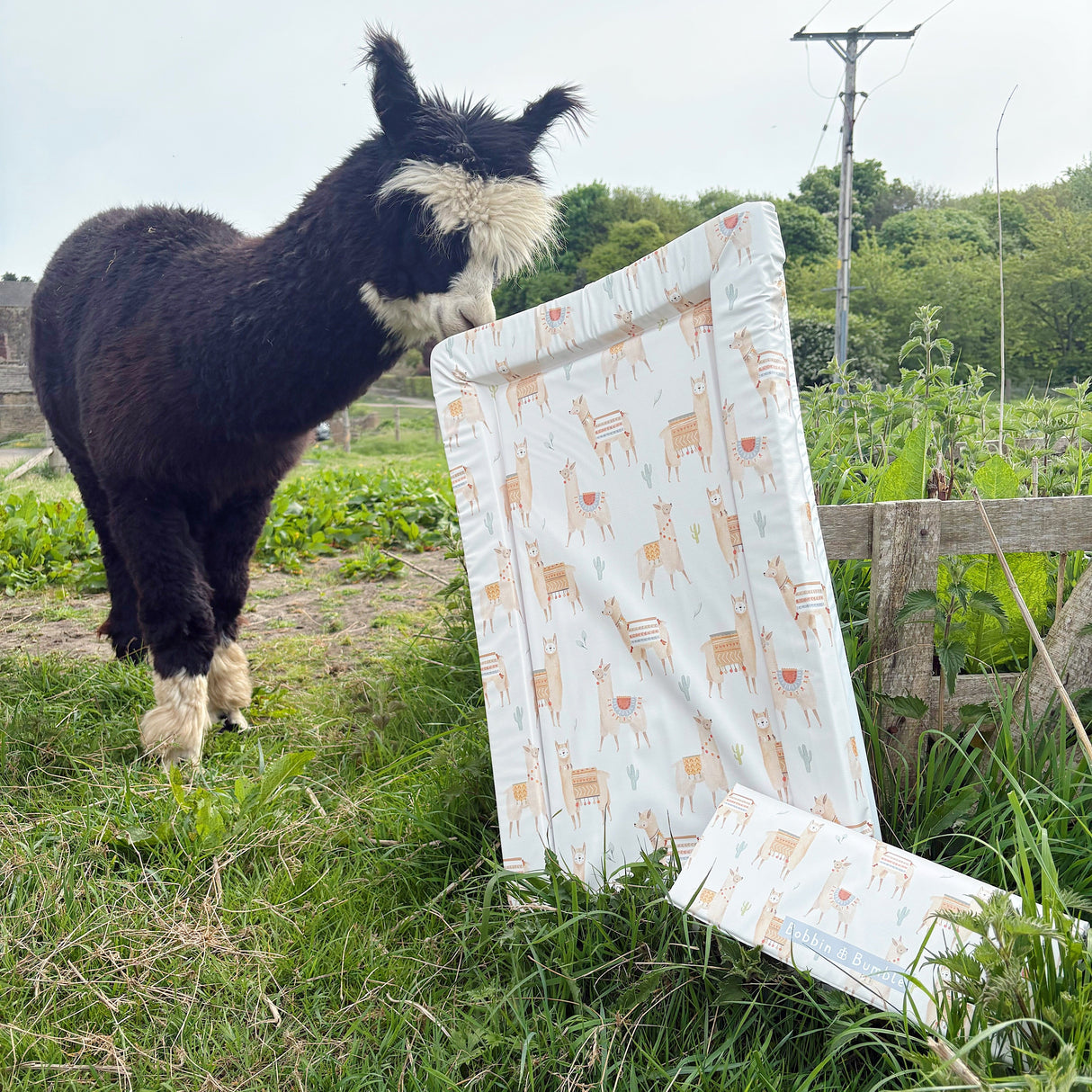 Standard Changing Mat - Alpacas