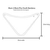 Mum 2 Mum PLUS Youth Disability Bib - Ages 5-15 years - Teal Blue