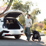 Nuna MIXX Next Pushchair - Cosmopolitan