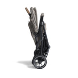 Joie Estrella Signature Twin Pushchair - Maple